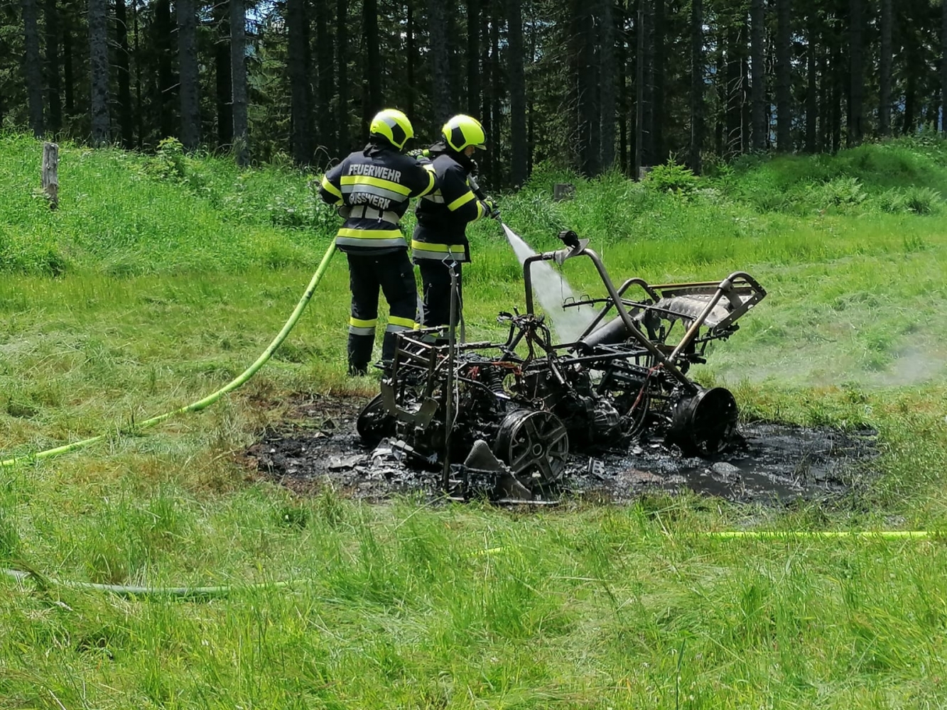 Verkohltes Fahrzeug in der Wiese.