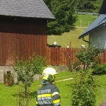 Nebengebäude aus Holz an dem ein Holzzaun angrenzt