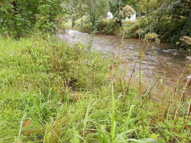 Fluss Walster Rechengraben