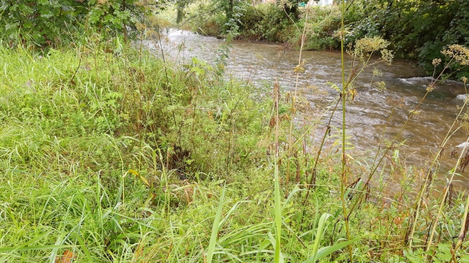 Fluss Walster Rechengraben Fluss Walster Rechengraben