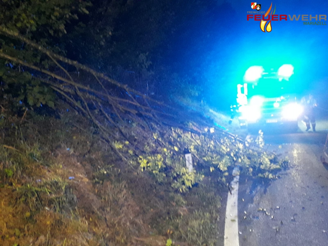 Einsatzfahrzeug mit Blaulicht und davor ein Baum der auf die Straße gefallen ist